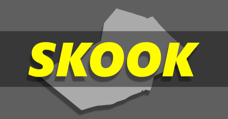 What is Skooknews and How Did It Start