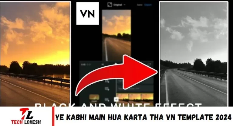 Ye Kabhi Main Hua Karta Tha Vn Template