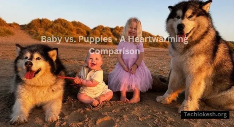 Baby vs. Puppies