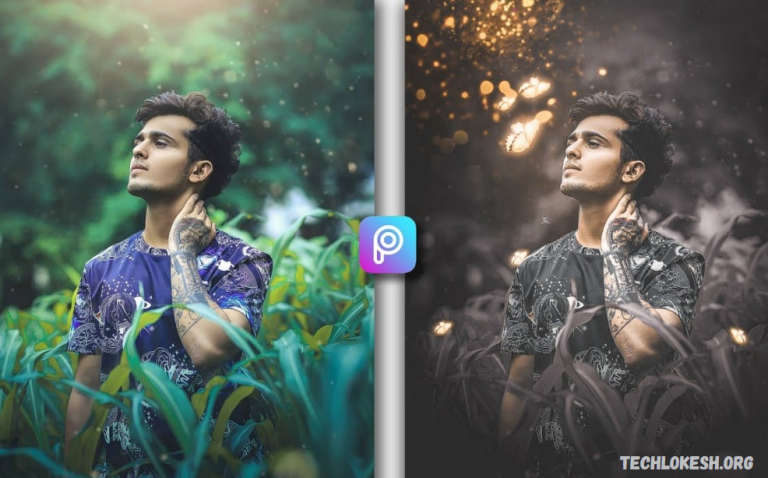 Dual Photo Editing with Butterfly