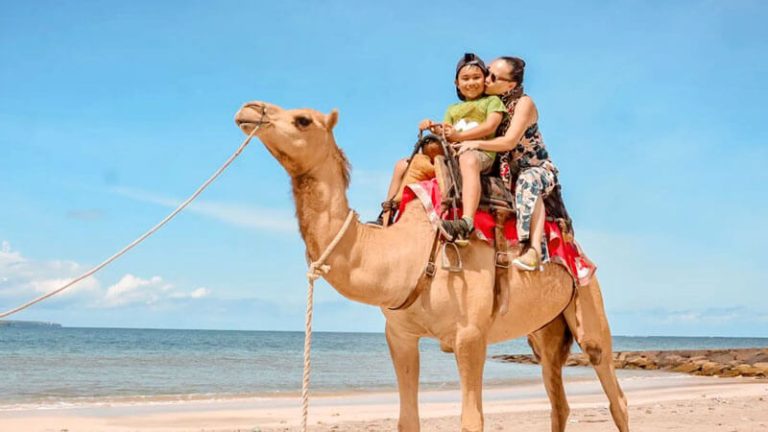 Camel Rides and Clicks